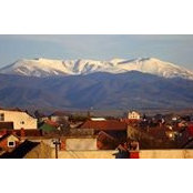 Adrian Prelipceanu's photo