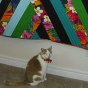 Lucy Noal's photo