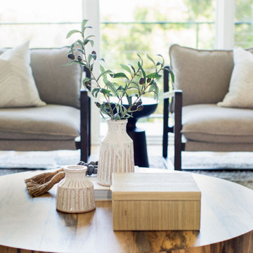 Project Serenity, Design Only Package