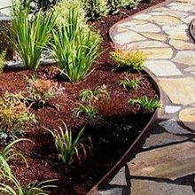 Landscape Ideas