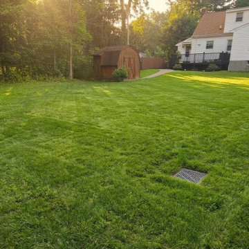 Yard Drainage Installation Delmar, NY Catch Basin