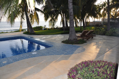 Photo of a tropical landscaping in Other.