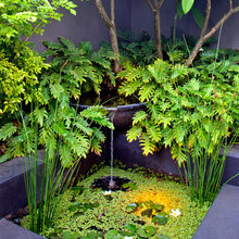 Water Feature Ideas