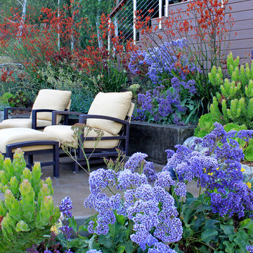 Mill Valley Hillside Garden