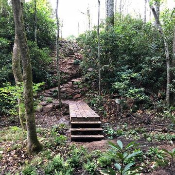 Looking back up the slope