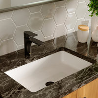 Karran KBF420 1-Hole 1-Handle Basin Faucet With Pop-up Drain, Matte Black