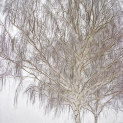 Foggy Morning Landscape - Fractalius 4 - Artwork