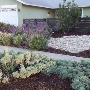 Modern Curb Appeal
