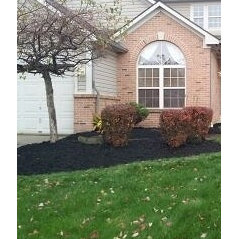 Brothers Lawn Care Services - Columbus, OH, US 43227