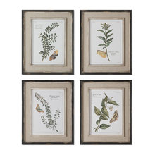 framed art