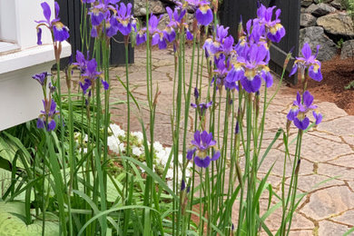 Aménagement d'un jardin.