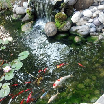 Hardscape
