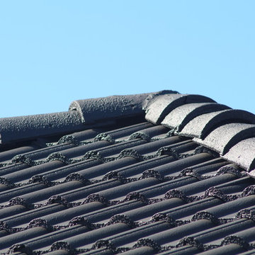 Vancouver Property Roof Restoration