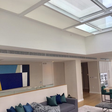 Motorized Skylight Shades