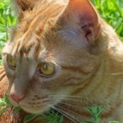 Meryl Brown's photo