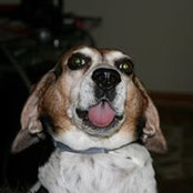 Debbie Stark's photo