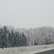 Liz Saylor's photo
