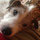 wendy_twitty