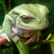 Richard Hung's photo