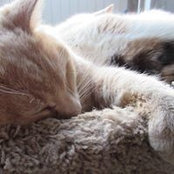 Michelle Moreno's photo