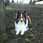 Dianna Miller's photo