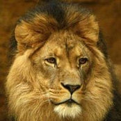 Foto von Janice Dummer