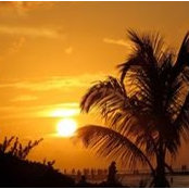 Debi Lott's photo