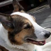 Sandra Blanchette's photo