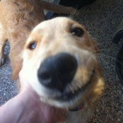 Kathleen Walsh's photo