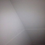 M Z's photo