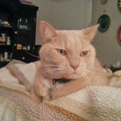 Cynthia Hoffman's photo