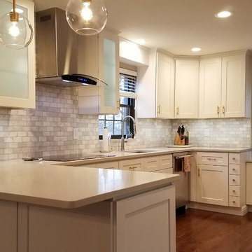 Mt Lebanon kitchen remodel