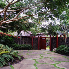 front yard