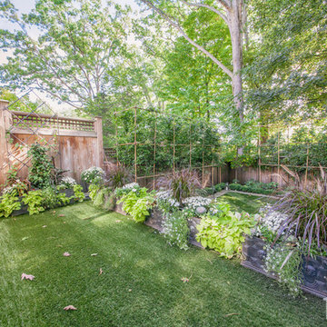 Bamboo Wall Backyard