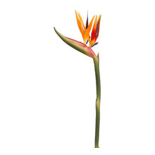 artificial flower for project
