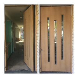 Contemporary Front Doors - Front Doors