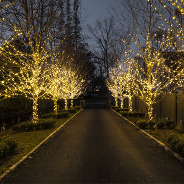 Traditional Outdoor Holiday Decor