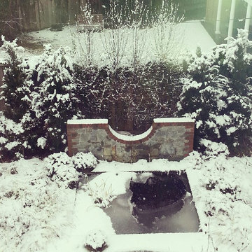 Friendship Heights Goldfish pond in Winter