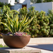 Patio Ideas