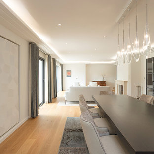 レンヌの中サイズのトランジショナルスタイルのLDKの画像 (淡色無垢フローリング)