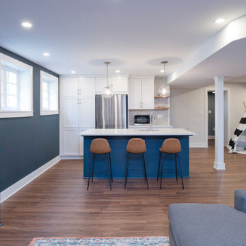 Family Friendly Basement in Mt Plesant