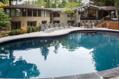 Hot tub - large contemporary backyard kidney-shaped and concrete paver hot tub idea in Toronto