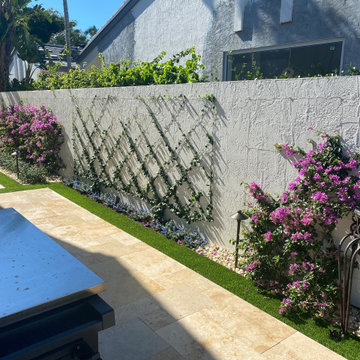 After - Espalier, Trained Vines on Wall
