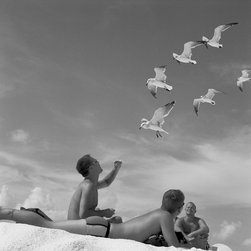 Beach dyptique- Seagulls 30x30in - Photographs