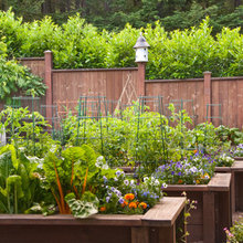 Gardens
