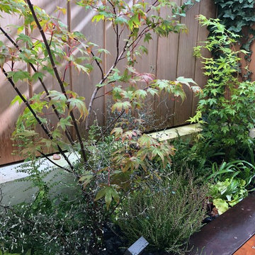 terrasse zen et cosy Bidart