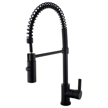 Dowell 8002/006 Series Single Handle Kitchen Faucet/Sprayer, Chrome With Black