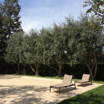 Contemporary Family Garden at Swan Park