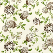 Favorite Fabrics