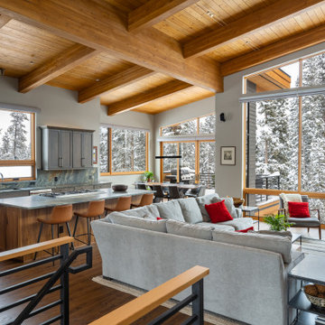 Colorado Contemporary Mountain Home